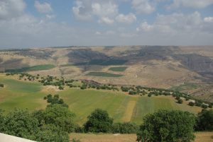 Современный вид поля битвы при Ярмуке (Иордания)